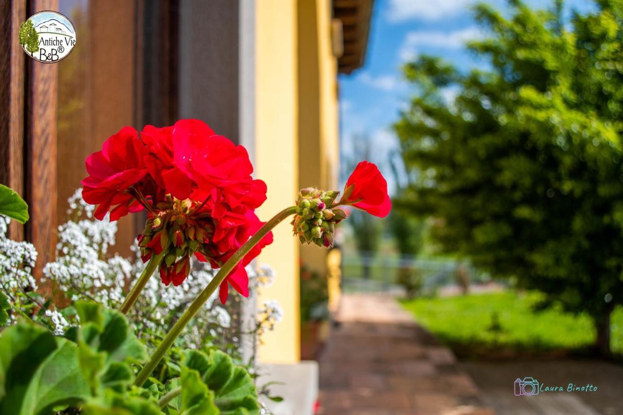 Antiche Vie B&B Serramazzoni Kültér fotó