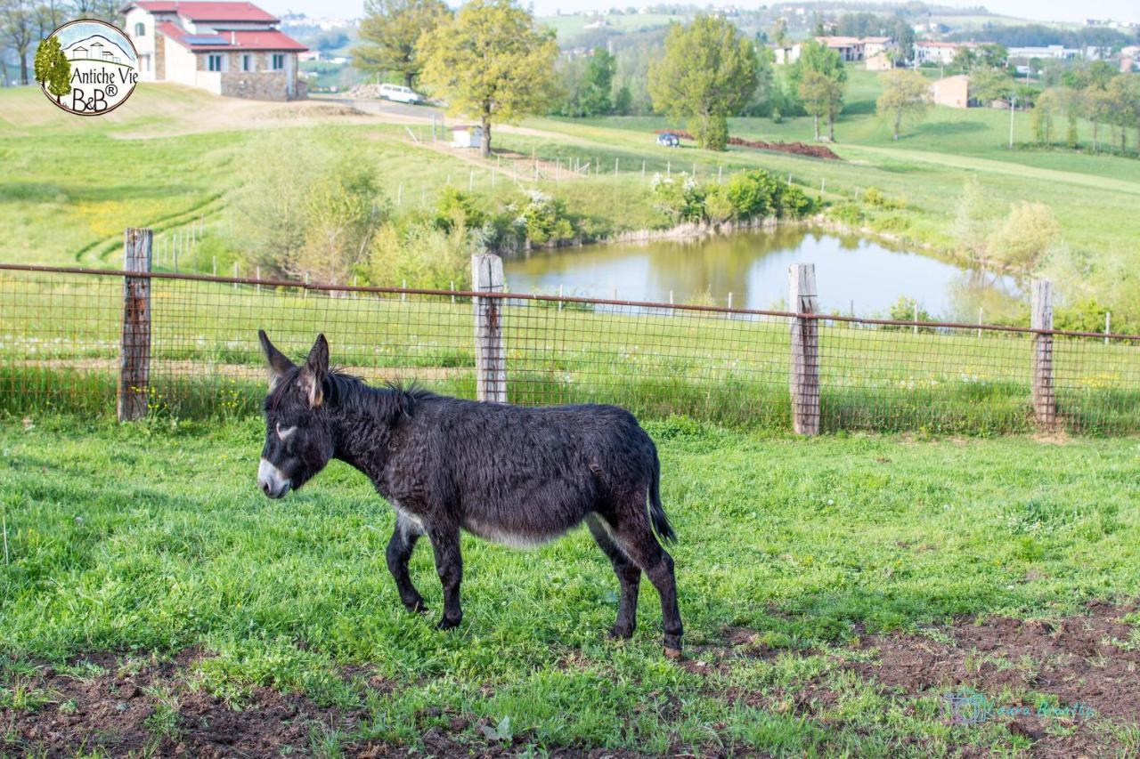Antiche Vie B&B Serramazzoni Kültér fotó
