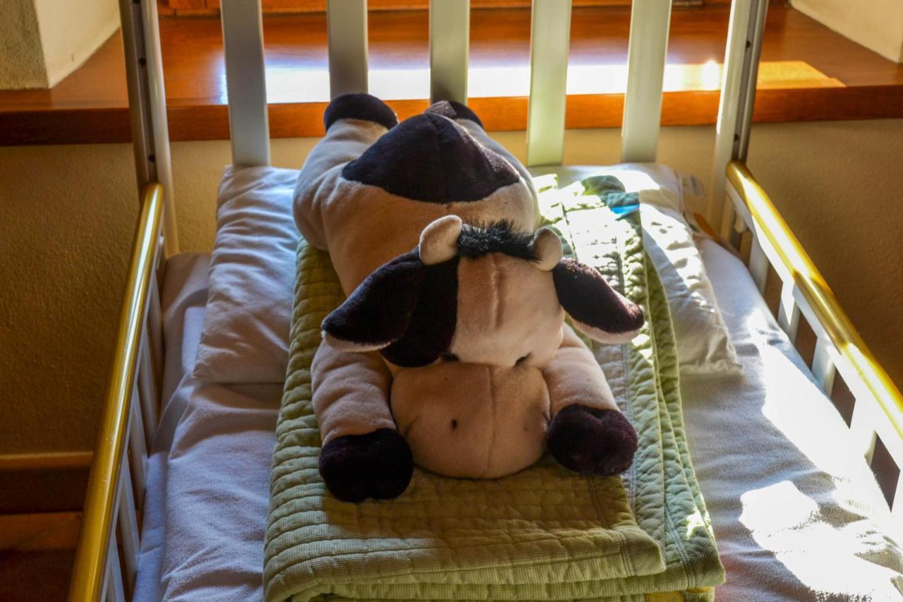 Antiche Vie B&B Serramazzoni Kültér fotó